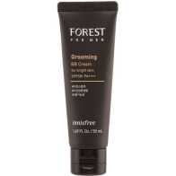 Innisfree Forest For Men Grooming BB Cream