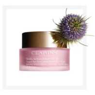 Clarins Multi-Active Day Cream SPF 20 - All Skin Types
