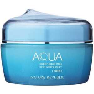 Nature Republic Super Aqua Max Fresh Watery Cream