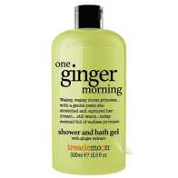Treaclemoon One Ginger Morning Bath And Shower Gel
