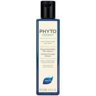 Phyto PHYTOCDRAT Purifying Treatment Shampoo